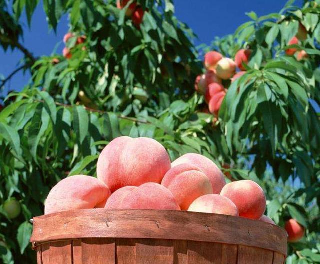 在阜阳,有这样一个地方